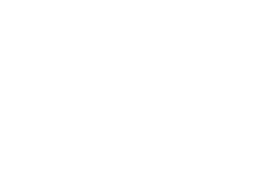 Brooklyn Sci-Fi Film Festival Official Selection