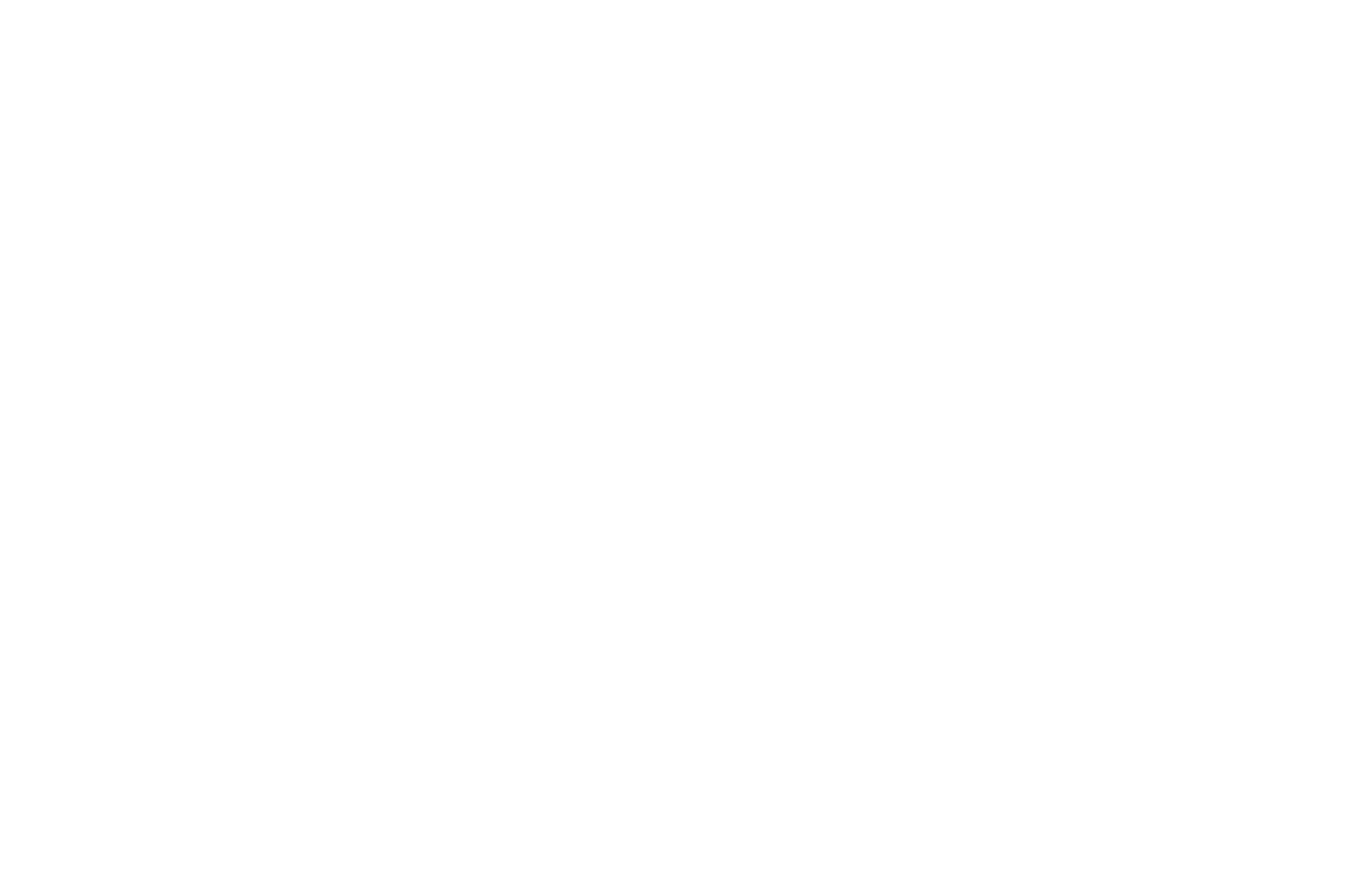 San Diego Sci-Fi Film Festival Official Selection